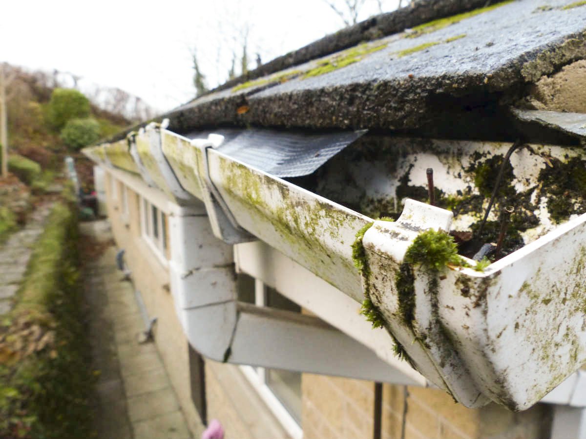 7 Common Gutter Problems Every Homeowner Should be Aware of